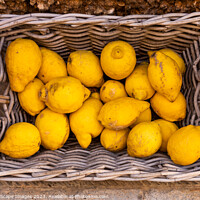 Buy canvas prints of Lemons in a wicker basket by MallorcaScape Images