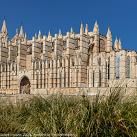 Buy canvas prints of Palma Cathedral La Seu in Palma, Majorca by MallorcaScape Images