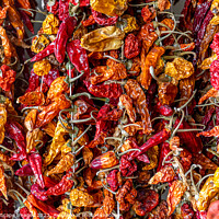 Buy canvas prints of dried chili peppers by MallorcaScape Images
