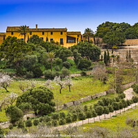 Buy canvas prints of country estate in Majorca by MallorcaScape Images