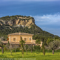 Buy canvas prints of finca in Majorca by MallorcaScape Images
