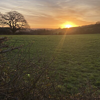 Buy canvas prints of January Devon dawn over Devon fields by Phil Vandenhove