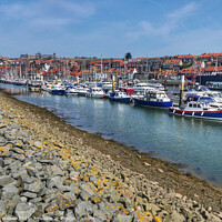 Buy canvas prints of Whitby Harbour by Sue Walker