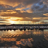 Buy canvas prints of Amble harbour sunset by Sue Walker