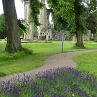 Buy canvas prints of St Mary’s Abbey, York by Sue Walker