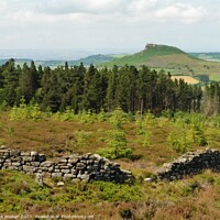 Buy canvas prints of Roseberry Topping, Yorkshire  by Sue Walker