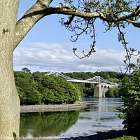 Buy canvas prints of Menai Bridge, Anglesey by Sue Walker