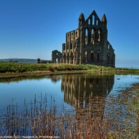 Buy canvas prints of Whitby Abbey with blue skies and reflection  by Sue Walker
