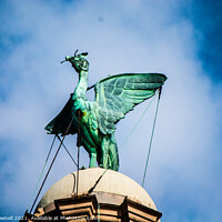 Buy canvas prints of Liverpool Liver Bird by Chris Pownell