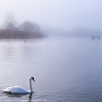 Buy canvas prints of Morning Mist  by Mark Lumpkin