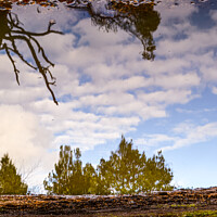Buy canvas prints of Puddle of reflections  by Mark Lumpkin