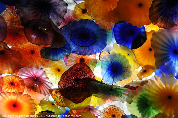Chihuly glass ceiling Picture Board by Beth Rodney