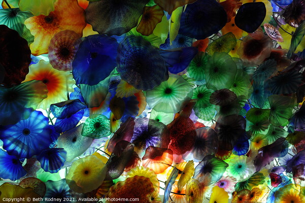 Chihuly Blossoms Picture Board by Beth Rodney