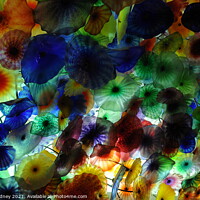 Buy canvas prints of Chihuly Blossoms by Beth Rodney