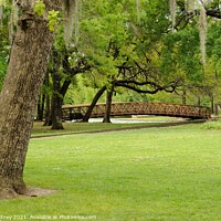 Buy canvas prints of Bridge in the park by Beth Rodney