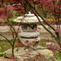 Buy canvas prints of Japanese Zen Garden by Beth Rodney