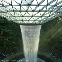 Buy canvas prints of Changi airports inside waterfall by The Travel Trap