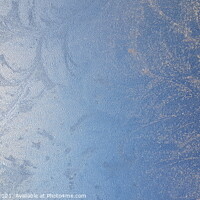 Buy canvas prints of Frosty Ice by David Forrest