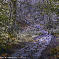 Buy canvas prints of Pathway to a Story by Jonathan Bird