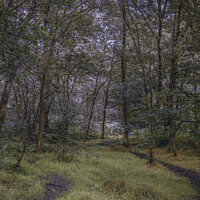 Buy canvas prints of A Path Out by Jonathan Bird
