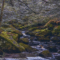 Buy canvas prints of Burbage Brook, Padley Gorge by Jonathan Bird