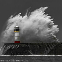 Buy canvas prints of Awesome Power  by Jonathan Bird