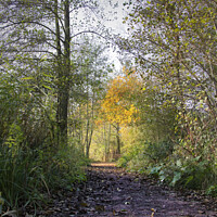 Buy canvas prints of Wildlife's Perspective by Jonathan Bird