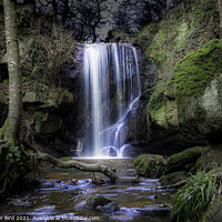 Buy canvas prints of Roughting Linn Waterfall, Northumberland by Jonathan Bird