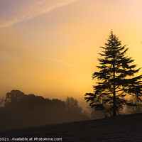 Buy canvas prints of Weald Country Park, Sunrise through the Mist by Jonathan Bird