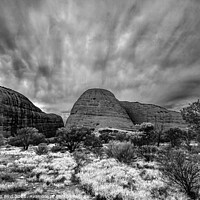 Buy canvas prints of The Olgas in Monochrome by Jonathan Bird
