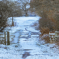 Buy canvas prints of Winter, Hutton Country Park  by Jonathan Bird