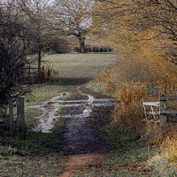 Buy canvas prints of A well Worn Path, Hutton Country Park  by Jonathan Bird