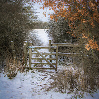 Buy canvas prints of A Gap in the Hedge, Hutton Country Park by Jonathan Bird