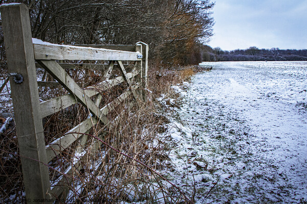 Open to Beyond, Hutton Country Park  Picture Board by Jonathan Bird