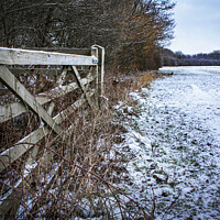 Buy canvas prints of Open to Beyond, Hutton Country Park  by Jonathan Bird