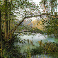 Buy canvas prints of Forgotten Corner, Weald Country Park #2 by Jonathan Bird