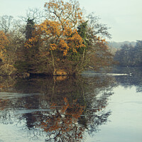 Buy canvas prints of Autumn Reflection, Weald Country Park  by Jonathan Bird