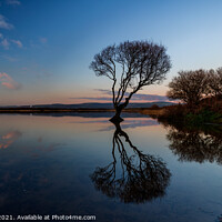 Buy canvas prints of Kenfig Pool reflections  by paul reynolds