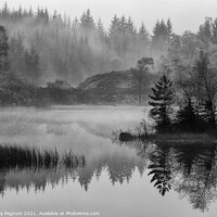 Buy canvas prints of Misty Loch Trossachs by Lesley Pegrum