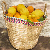 Buy canvas prints of A basket of oranges and lemons by Lesley Pegrum