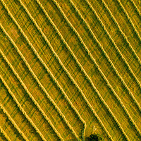 Buy canvas prints of Beauty and patterns of a cultivated farmland in Slovakia from above. by Andrea Obzerova