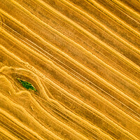 Buy canvas prints of Beauty and patterns of a cultivated farmland from above. by Andrea Obzerova