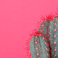 Buy canvas prints of Fashion style cactus poster art. by Andrea Obzerova
