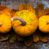 Buy canvas prints of Pumpkins and fallen leaves on dark retro background. by Andrea Obzerova