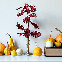 Buy canvas prints of Modern autumn inspired room decoration. by Andrea Obzerova