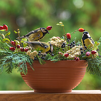 Buy canvas prints of Group of great tit birds sitting on a rose hip branch. by Andrea Obzerova