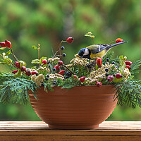 Buy canvas prints of Great tit sitting on a rose hip branch. by Andrea Obzerova