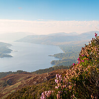 Buy canvas prints of Stunning view of Loch Katrine from Ben A'an. by Andrea Obzerova