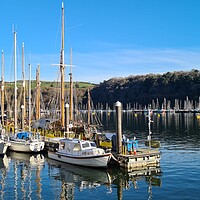 Buy canvas prints of Boats moored up at Dartmouth, Devon  by Anthony Palmer-Greene