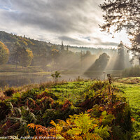 Buy canvas prints of Cragside, Rothbury by Philip Stewart